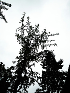 街子古鎮(zhèn)