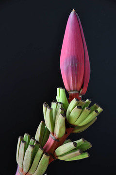 開花
