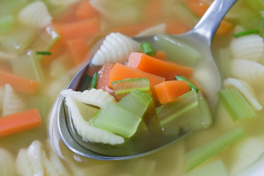 素食面條湯