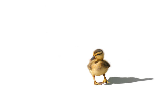 走