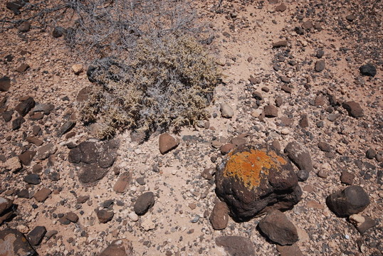 富埃特文圖拉島火山島