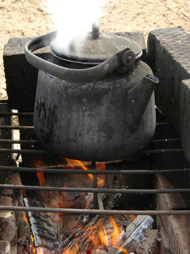 茶