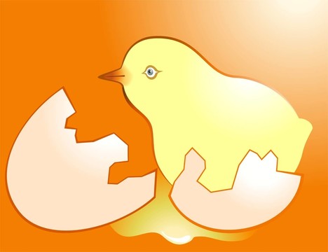 鳥