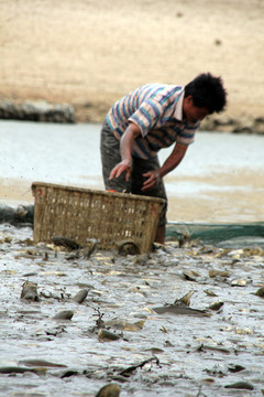 捕魚 撈魚