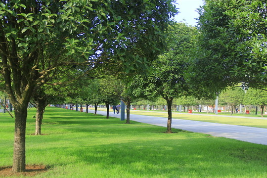 湘府文化公園