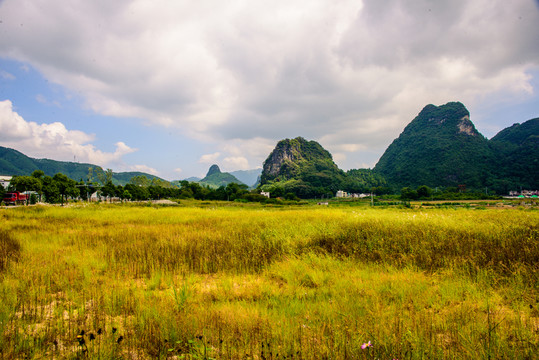 陽(yáng)光草地峰林地貌