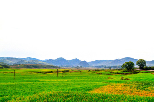 社會(huì)主義新農(nóng)村