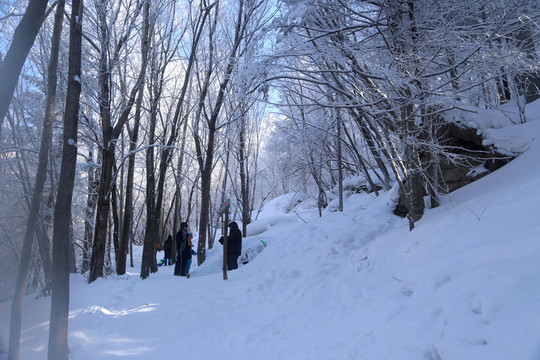 雪鄉(xiāng) 雪鄉(xiāng)風(fēng)景 中國雪鄉(xiāng)