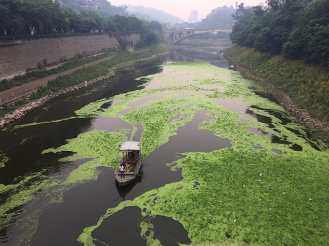 河道污染 蘋果6p手機(jī)拍攝