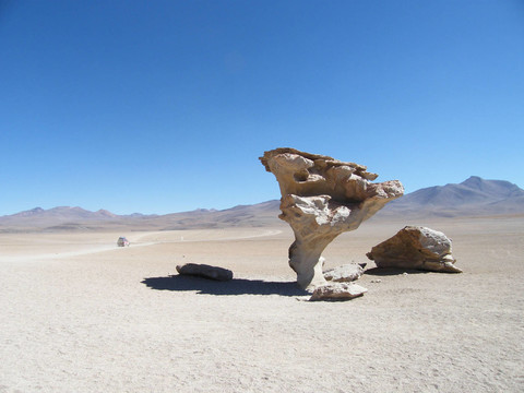 玻利維亞，利佩斯沙漠Arbol de Piedra