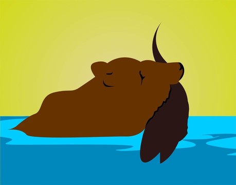 動物