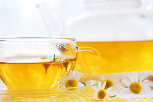 杯