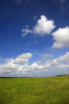 藍(lán)色的