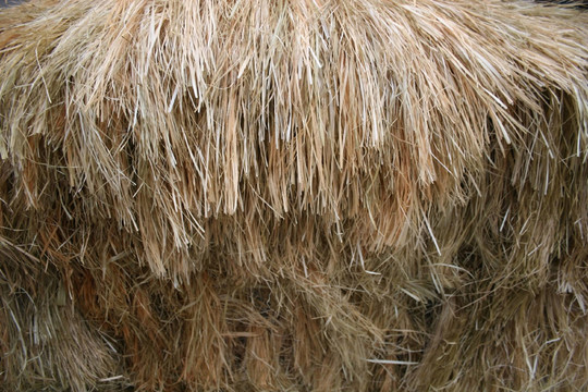 鎖