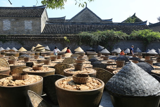 曬制醬油