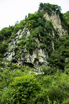 青山
