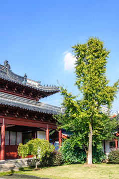 鄭和公園景觀