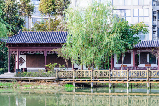 湖邊棧道