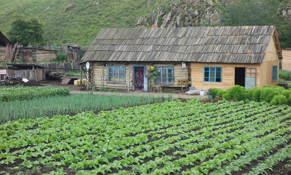 農(nóng)家院