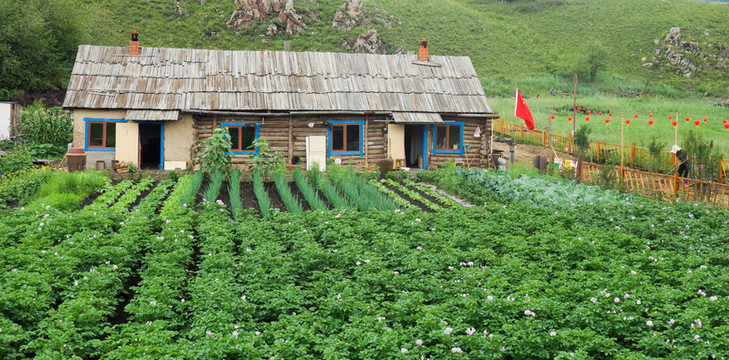 農(nóng)家菜地