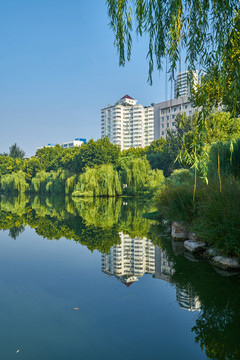 湖畔美景 濱湖風(fēng)景畫(huà) 高清大圖