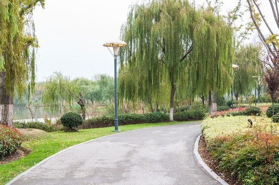 鹽瀆公園景色