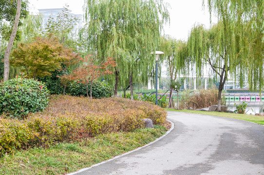 鹽瀆公園景色