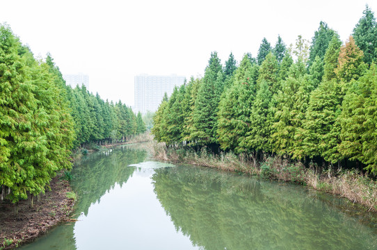 鹽瀆公園景色