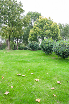 鹽瀆公園景色