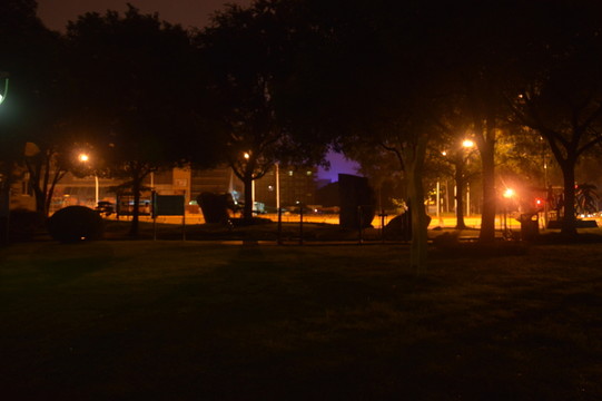 公園一角