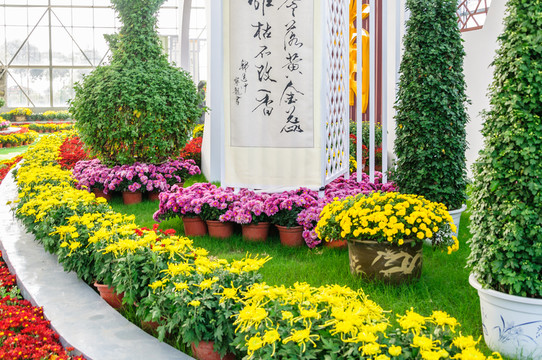 菊花展廳