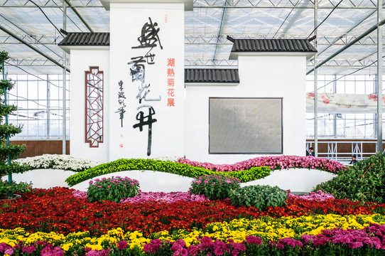 菊花展廳