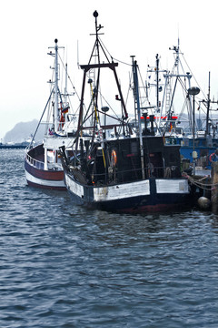 港