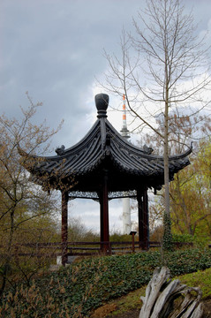 chineische庇護(hù)所