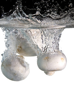 水中蘑菇三