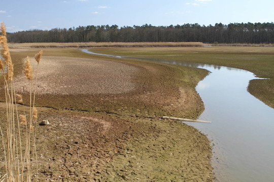 排水karpfenweiher