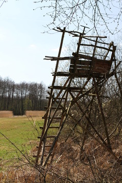 J？gerstand
