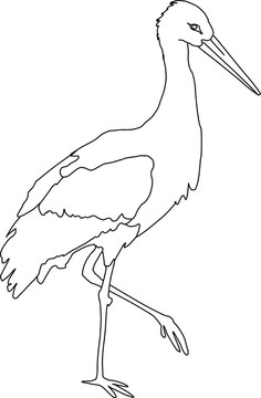 插圖