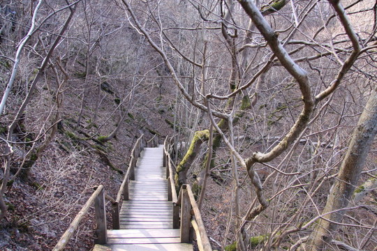 在geisterwald樓梯