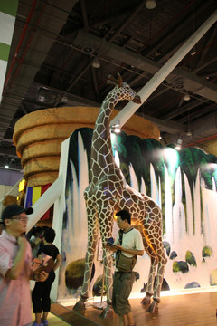 動物模型展