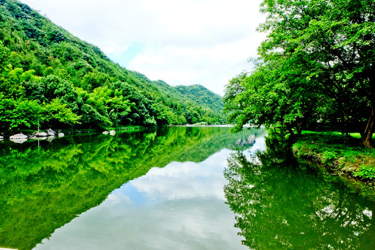湖泊 森林