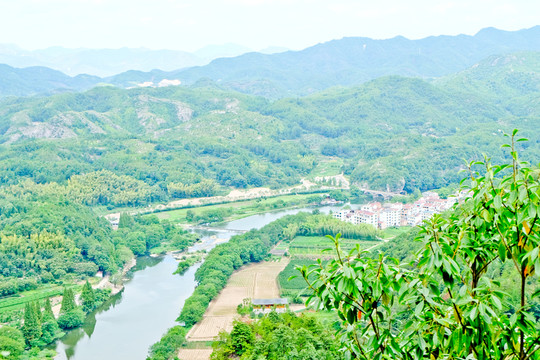 森林 山峰