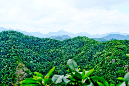 山