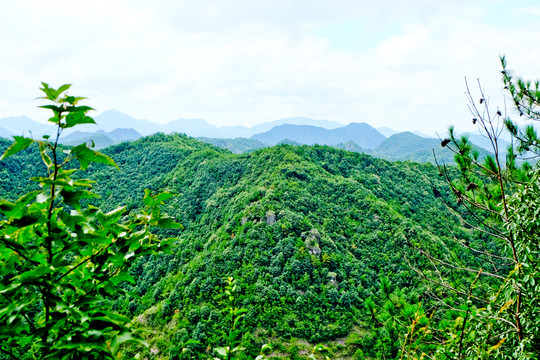 山