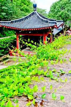 古建筑