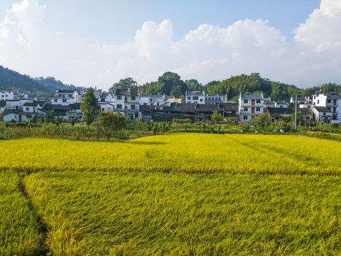 田園山村