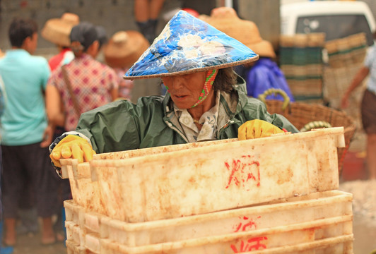水產(chǎn)碼頭搬運(yùn)工