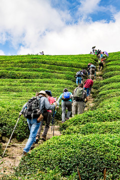 驢友登山