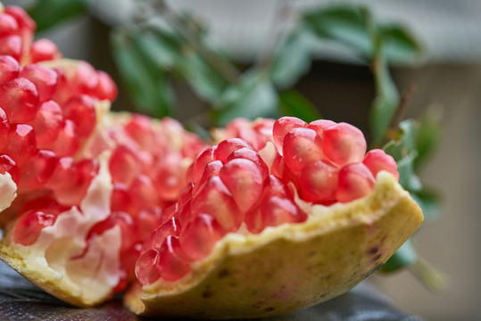 紅石榴特寫