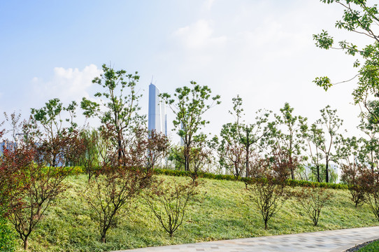 青奧文化體育公園景觀